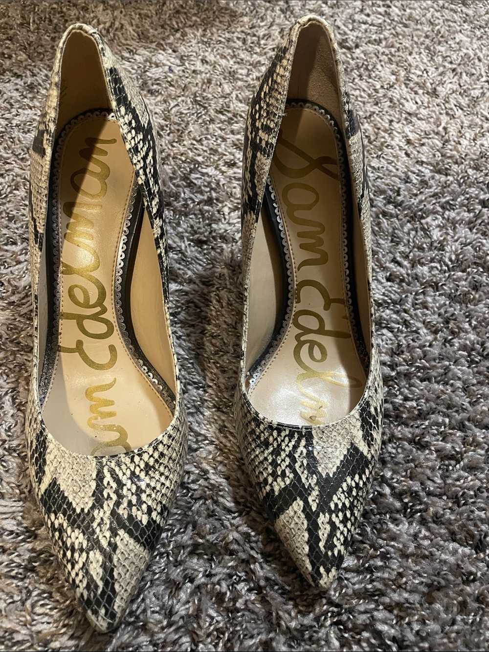 Sam Edelman Snake-Print Pointed Toe  3.5 inch Heels in Black and Cream